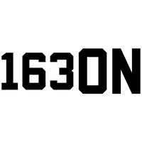 Логотип команды 163ON