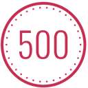 Логотип команды 500