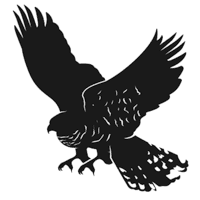 Логотип команды Alter Iron