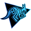 Логотип команды Bad News Kangaroos