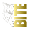 Логотип команды Born in the East