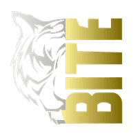 Логотип команды Born in the East