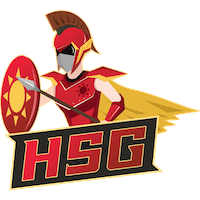 Логотип команды HSG fe