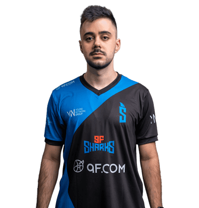 Аватар игрока hoax